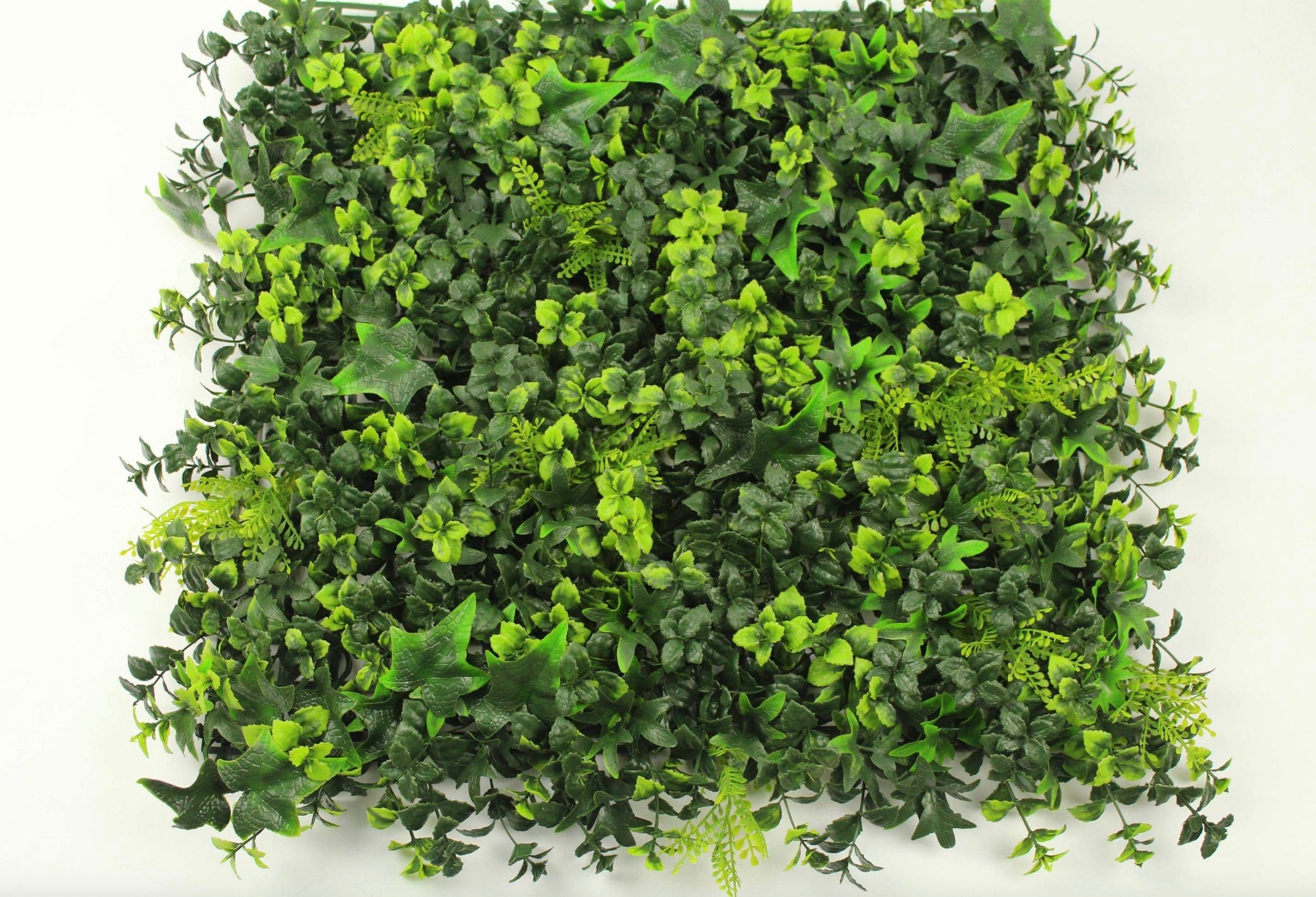 Foliage Artificial Plant Tree & Wall Décor